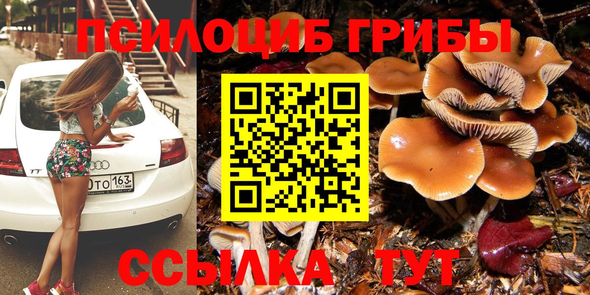 Галлюциногенные грибы Cubensis Елабуга